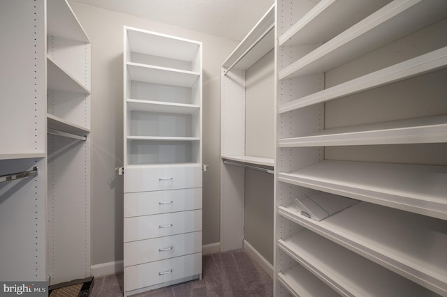 walk in closet featuring dark colored carpet