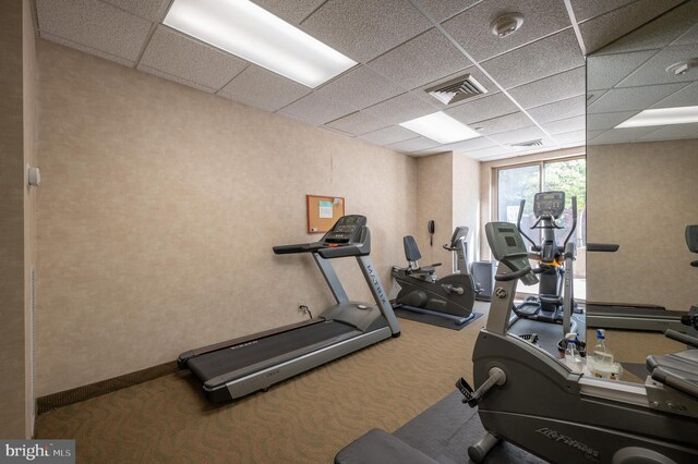 exercise room featuring visible vents, carpet flooring, and a drop ceiling