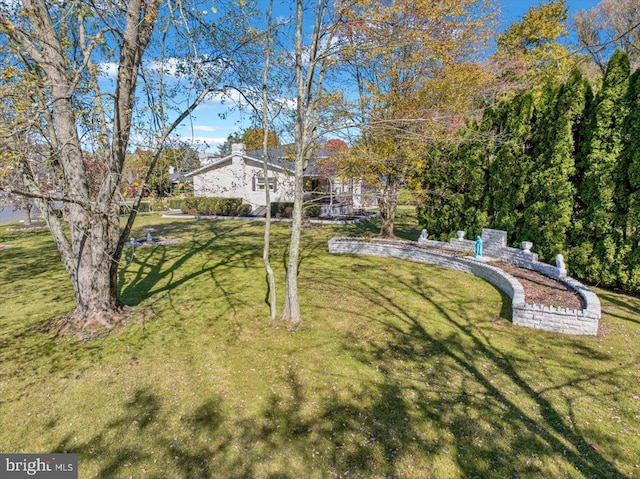 333 W Arch St, Frackville, PA 17931 - view of yard