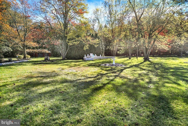 333 W Arch St, Frackville, PA 17931 - view of yard