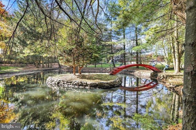 view of home's community with a water view