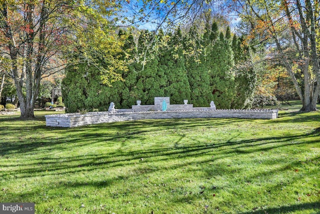333 W Arch St, Frackville, PA 17931 - view of home's community with a yard and a forest view