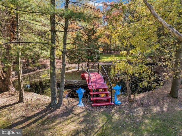 333 W Arch St, Frackville, PA 17931 - view of yard