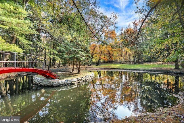333 W Arch St, Frackville, PA 17931 - view of dock featuring a water view and a forest view