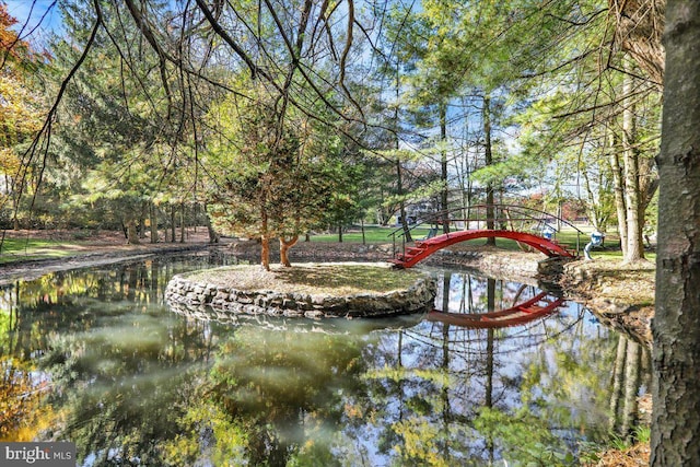 333 W Arch St, Frackville, PA 17931 - view of water feature