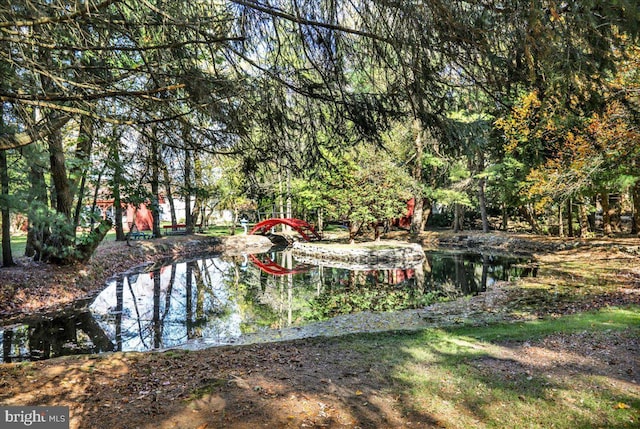 333 W Arch St, Frackville, PA 17931 - view of property's community