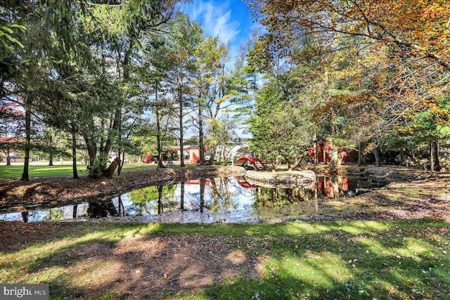 333 W Arch St, Frackville, PA 17931 - view of water feature