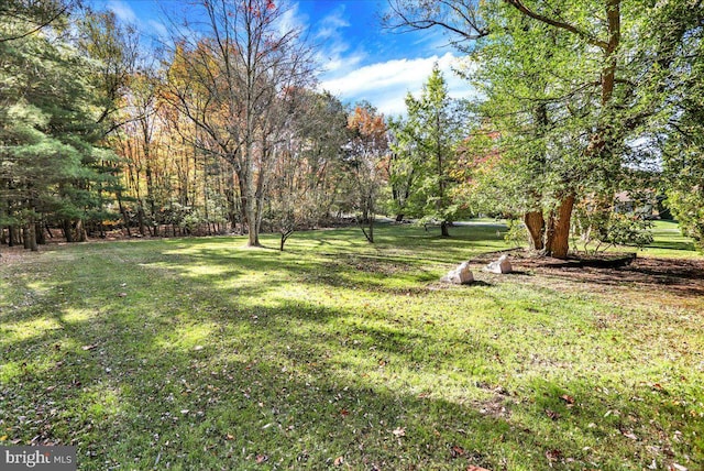 333 W Arch St, Frackville, PA 17931 - view of yard