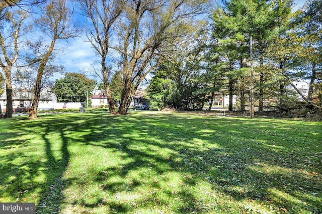 333 W Arch St, Frackville, PA 17931 - view of yard