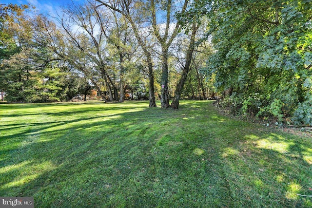 333 W Arch St, Frackville, PA 17931 - view of yard