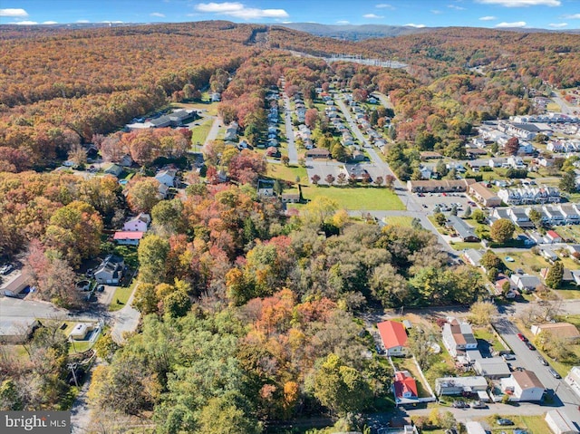 333 W Arch St, Frackville, PA 17931 - drone / aerial view with a residential view, a mountain view, and a forest view