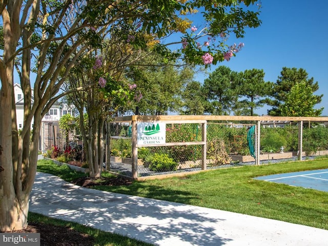 view of property's community with a lawn