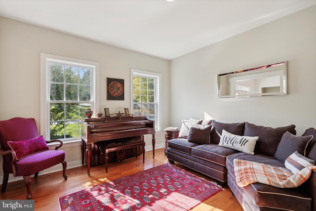 living room with wood-type flooring