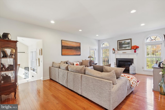 living room featuring light hardwood / wood-style floors and a wealth of natural light