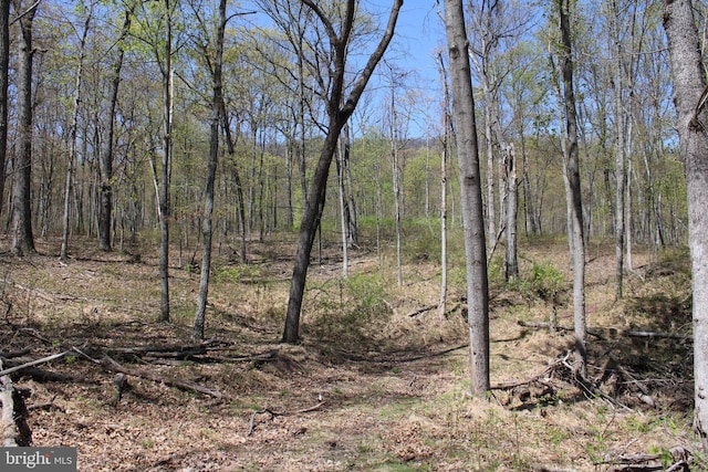 Listing photo 2 for 855.05ACRES Woodmont Rd, Great Cacapon WV 25422