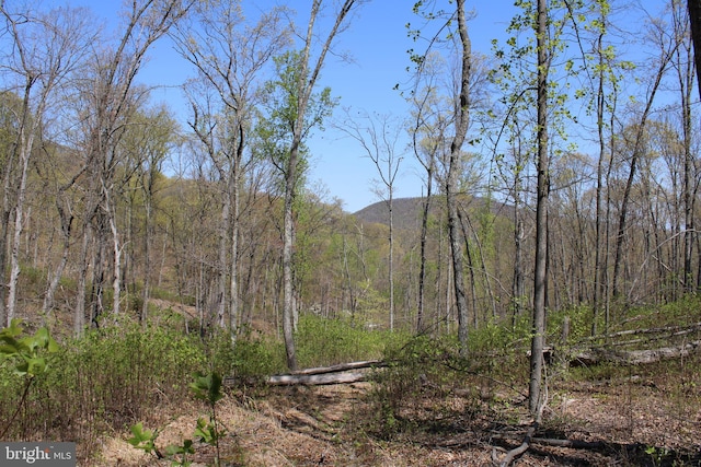 Listing photo 3 for 855.05ACRES Woodmont Rd, Great Cacapon WV 25422