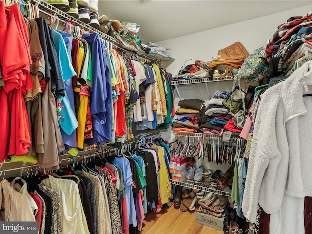 walk in closet with wood-type flooring