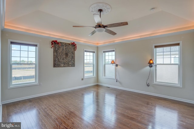 empty room featuring hardwood / wood-style flooring, a raised ceiling, and plenty of natural light