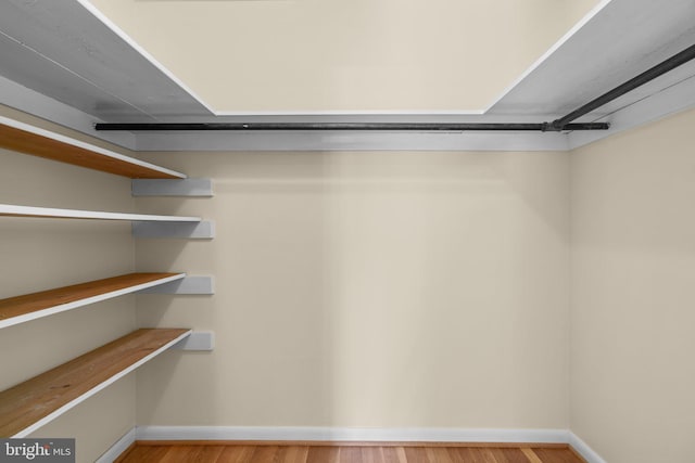 walk in closet with light hardwood / wood-style floors