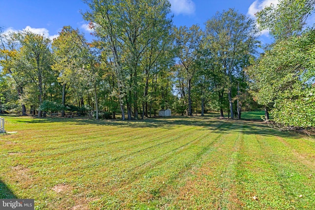 view of yard featuring a storage shed