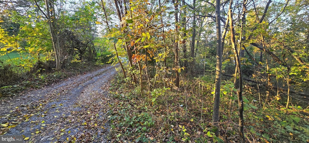LOT5 Cave Springs Ln, Edinburg, VA 22824