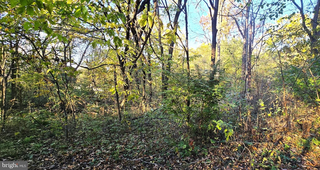 LOT5 Cave Springs Ln, Edinburg, VA 22824