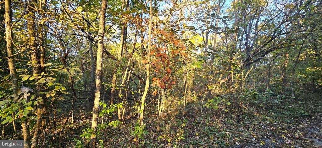 LOT5 Cave Springs Ln, Edinburg, VA 22824