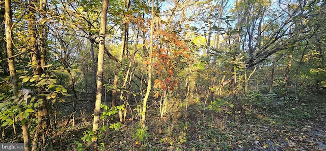 LOT5 Cave Springs Ln, Edinburg, VA 22824