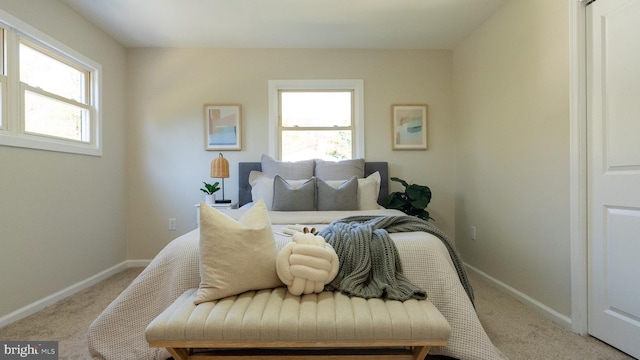 bedroom featuring multiple windows and light colored carpet