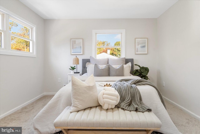 carpeted bedroom with multiple windows