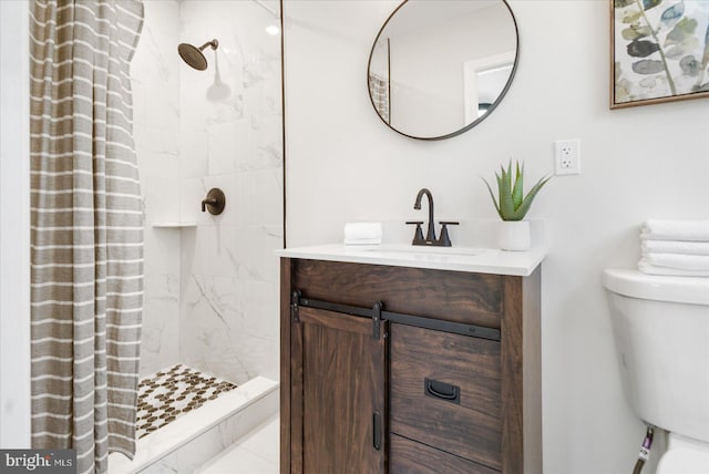 bathroom featuring vanity, toilet, and a shower with curtain