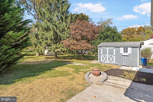 view of yard with a storage unit