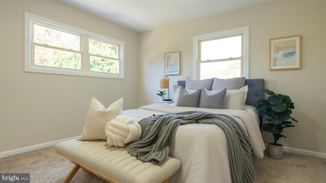 bedroom featuring carpet floors