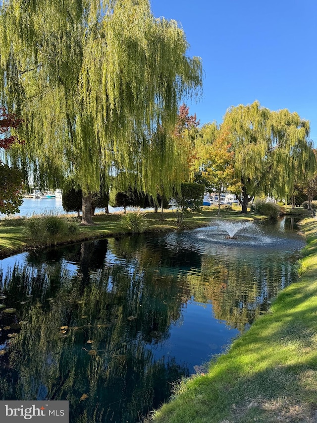 water view