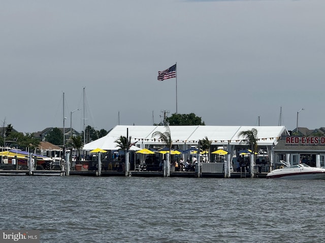 dock area with a water view