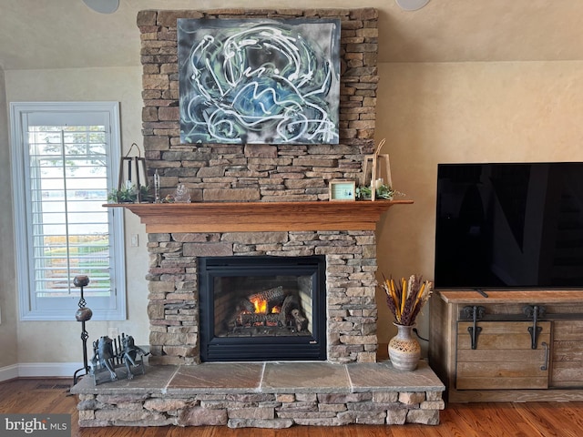 room details with wood-type flooring and a fireplace