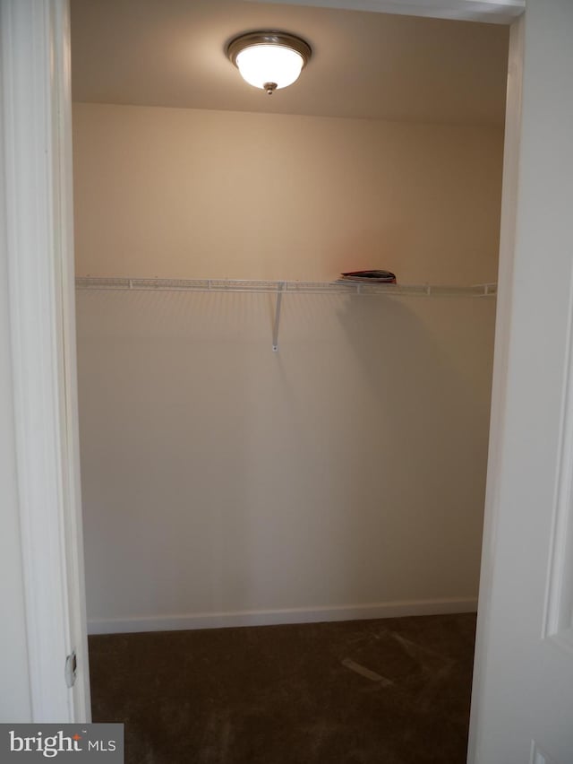 spacious closet with dark carpet