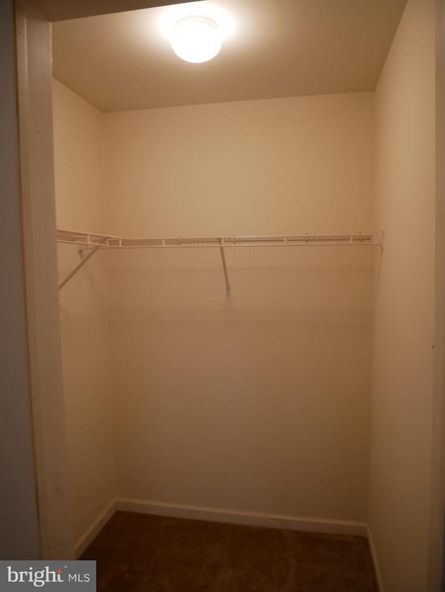 spacious closet featuring dark carpet