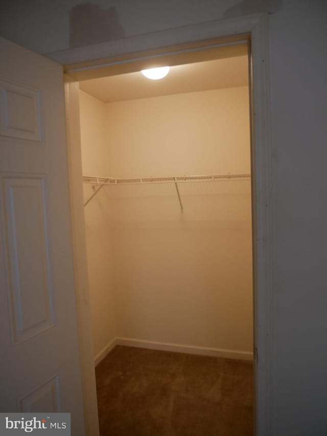 spacious closet with dark carpet