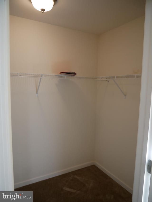 spacious closet with dark carpet