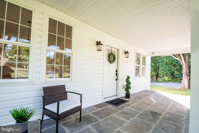 view of patio / terrace with a porch