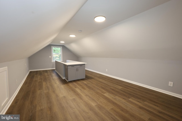 additional living space featuring dark hardwood / wood-style floors and lofted ceiling