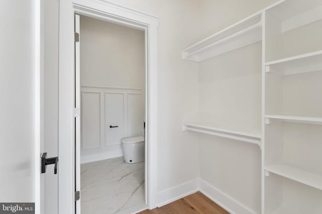 spacious closet with light hardwood / wood-style flooring