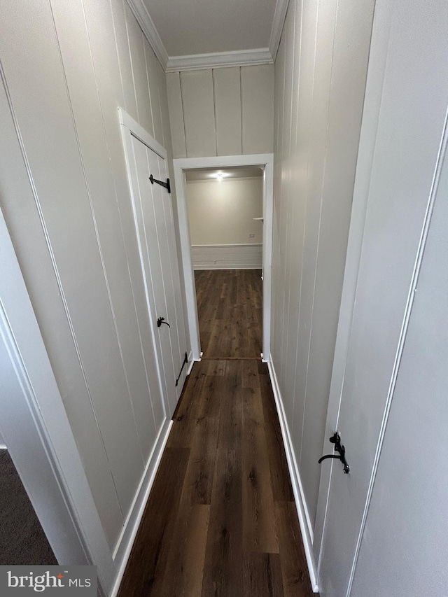 corridor featuring ornamental molding, dark wood finished floors, and a decorative wall