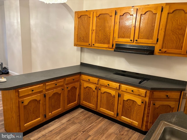 kitchen with kitchen peninsula, stovetop, and light wood-type flooring