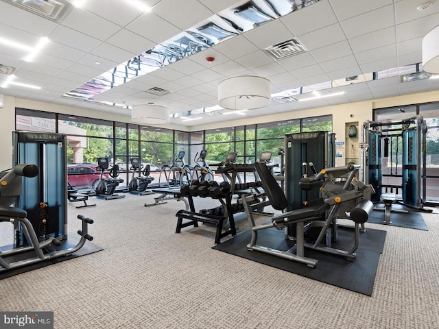 exercise room featuring a paneled ceiling and carpet