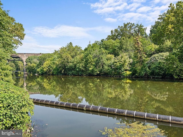 property view of water