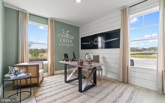 office with light hardwood / wood-style flooring and a wealth of natural light