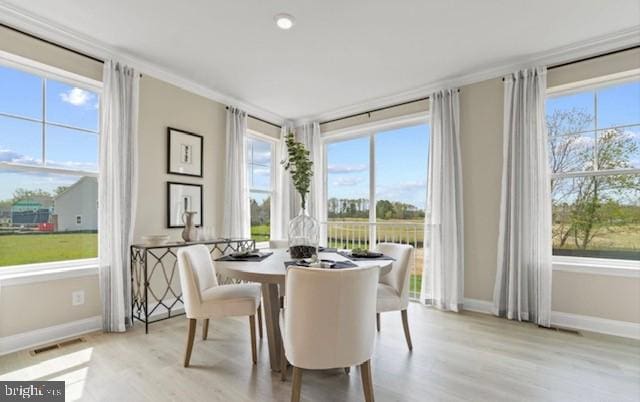 dining space with a wealth of natural light and light hardwood / wood-style flooring