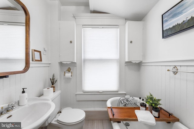 bathroom with sink, vaulted ceiling, and toilet